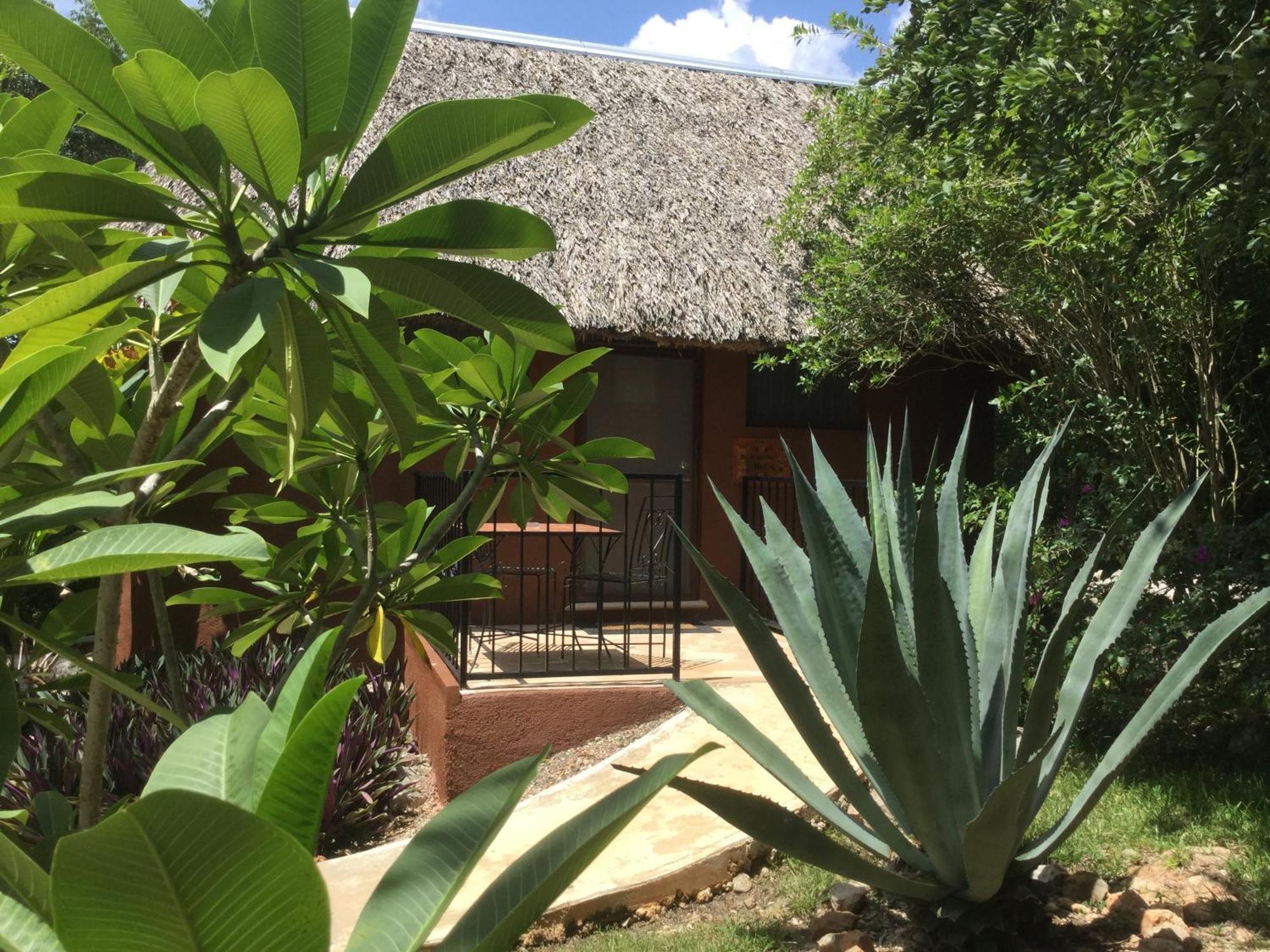 The Pickled Onion B&B And Restaurant Uxmal Santa Elena Pokoj fotografie