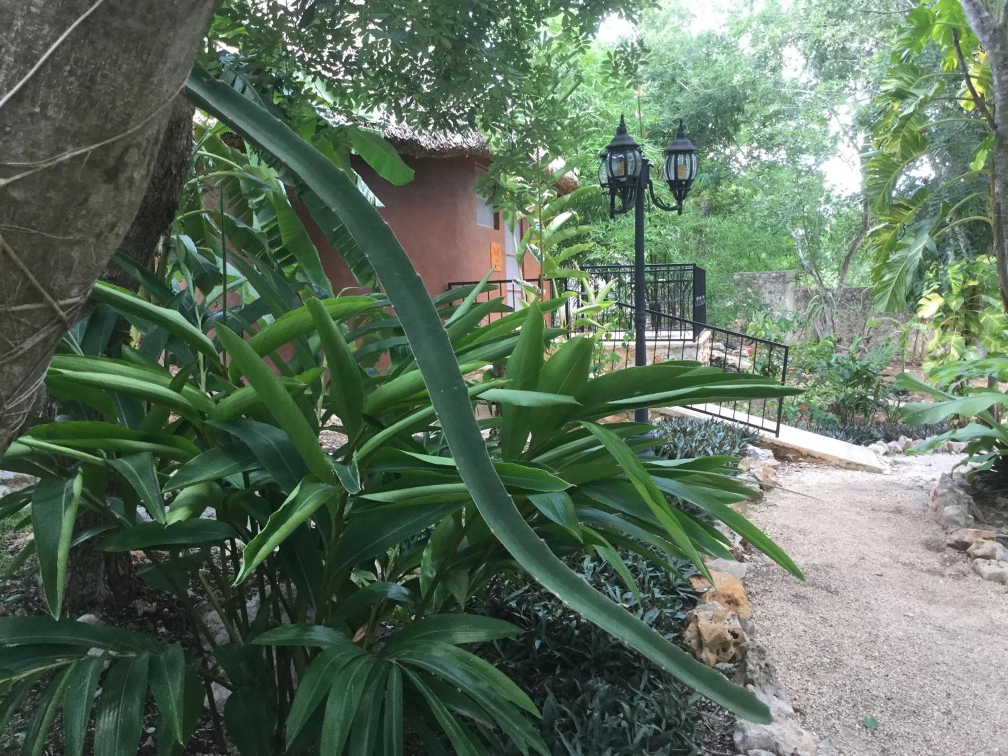 The Pickled Onion B&B And Restaurant Uxmal Santa Elena Pokoj fotografie