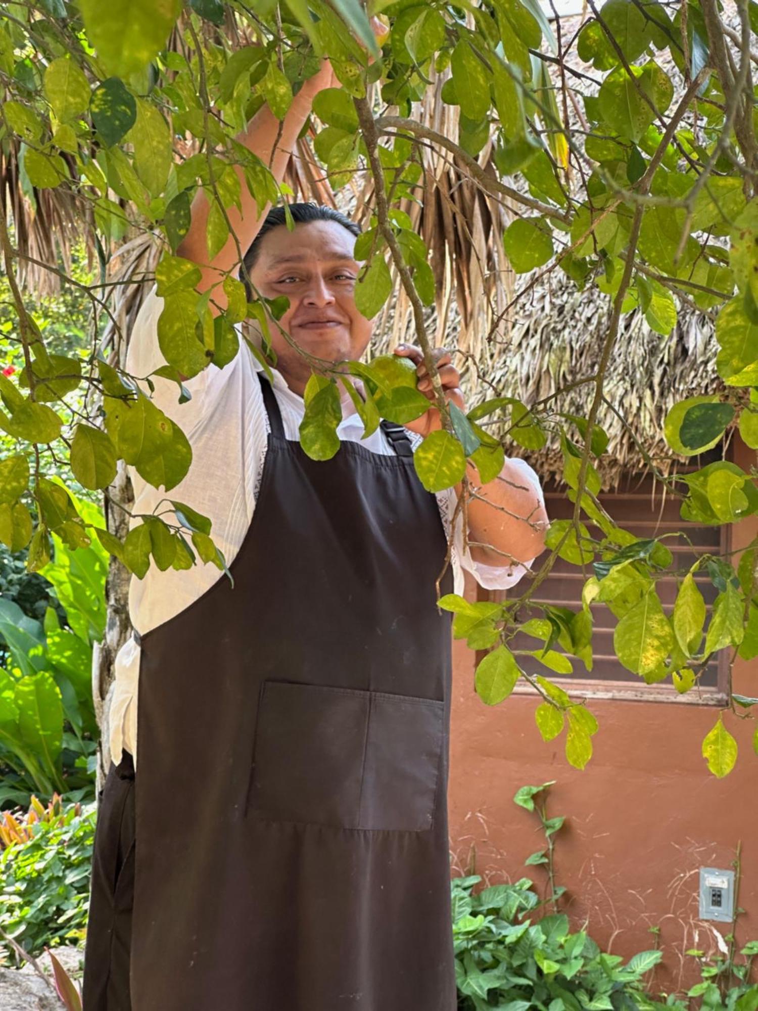 The Pickled Onion B&B And Restaurant Uxmal Santa Elena Exteriér fotografie