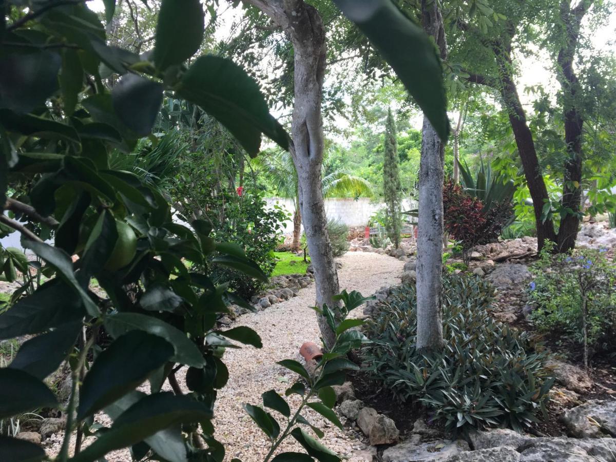 The Pickled Onion B&B And Restaurant Uxmal Santa Elena Exteriér fotografie