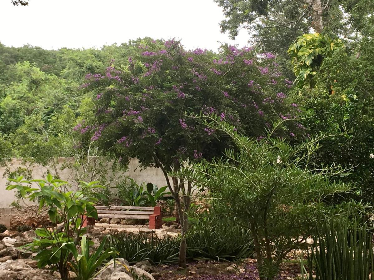 The Pickled Onion B&B And Restaurant Uxmal Santa Elena Exteriér fotografie